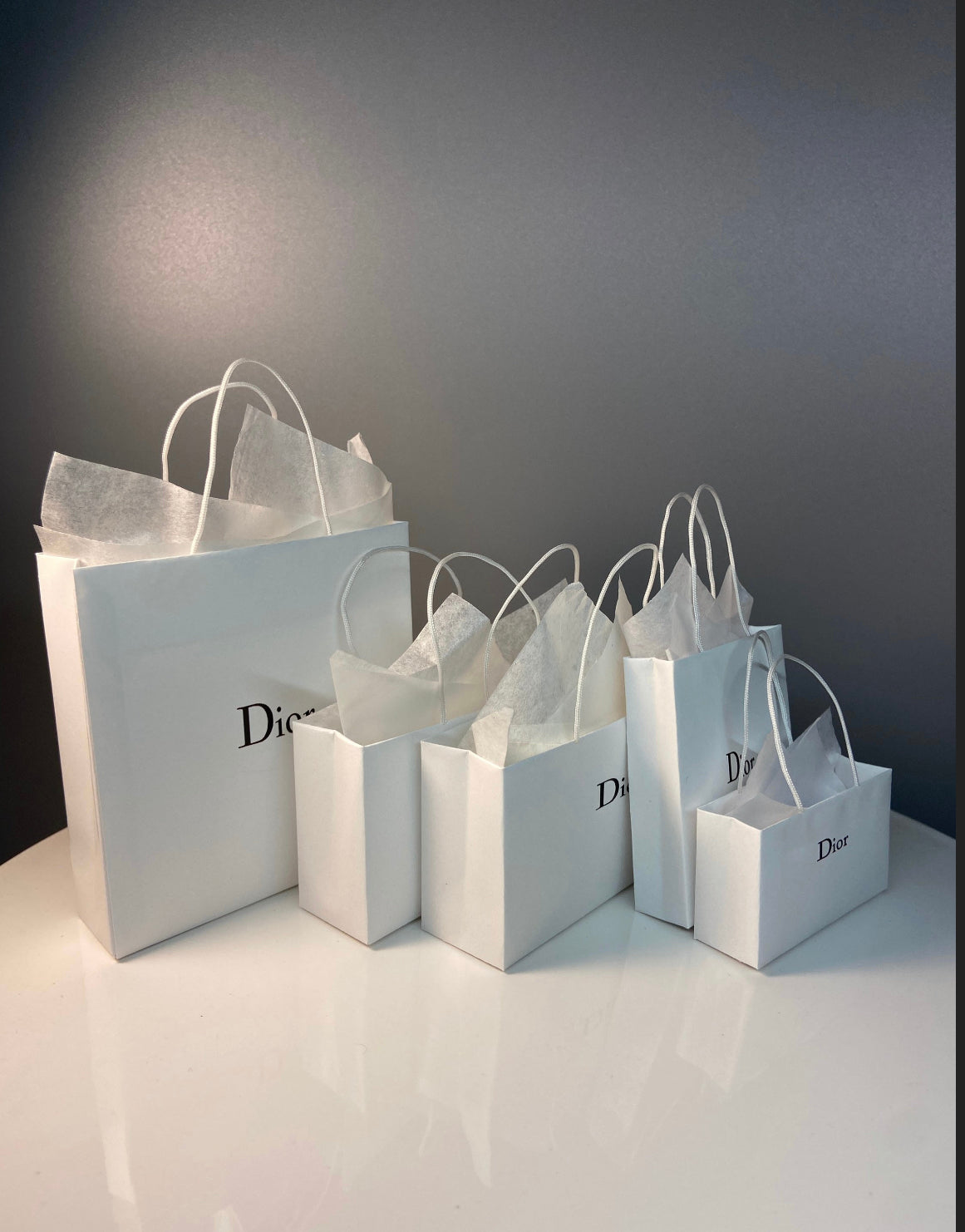 SET OF 5 Miniature Shopping Bags for Fashion Dolls