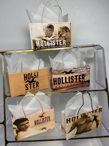 MINIATURE HOLLIST SHOPPING BAGS FOR FASHION DOLL